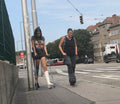 Vienna mega photo pack