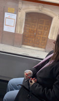 sac girl tram video