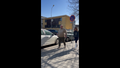 Slc woman 2 videos